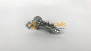 Screw