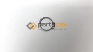 Circlip